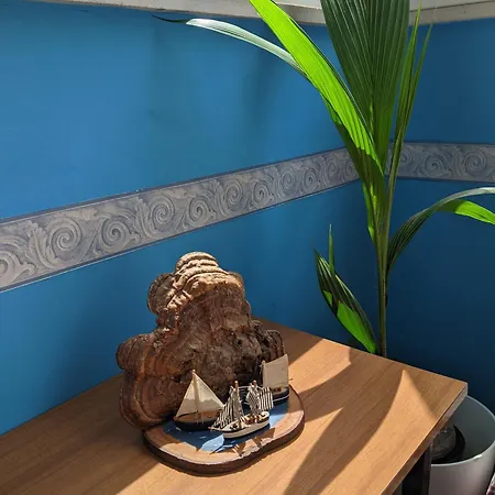 Bellevue Hotel Cesenatico